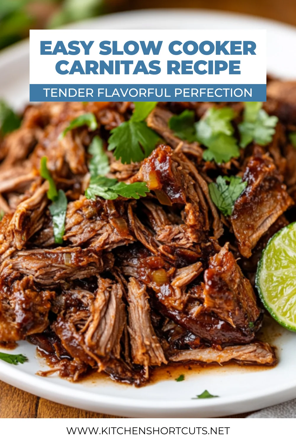 Slow Cooker Carnitas