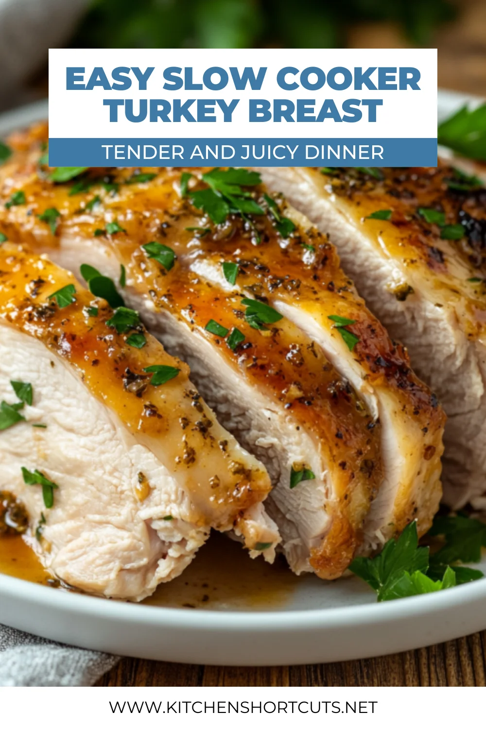 Slow Cooker Turkey Breast