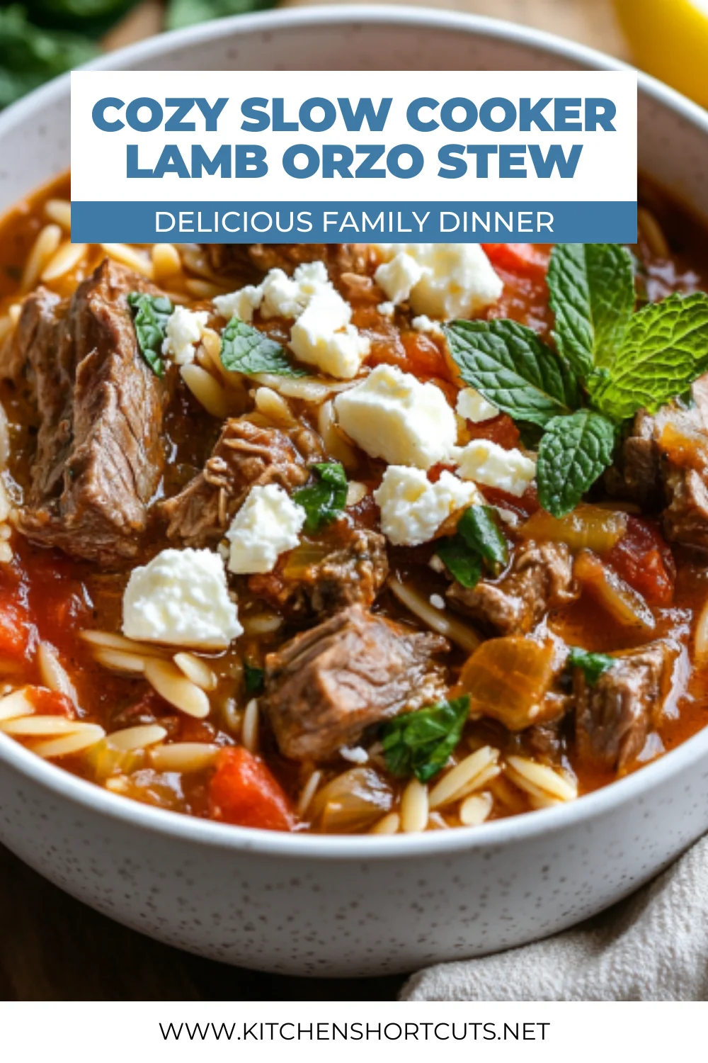 Slow Cooker Lamb Orzo Stew