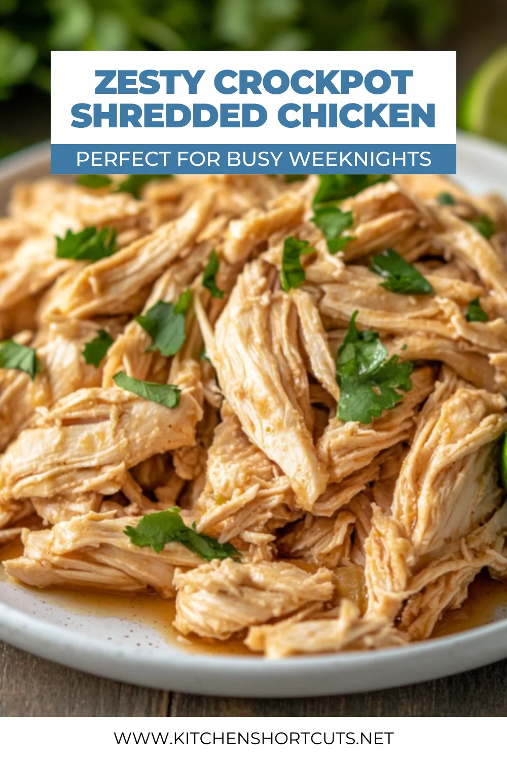 Zesty Crockpot Shredded Chicken